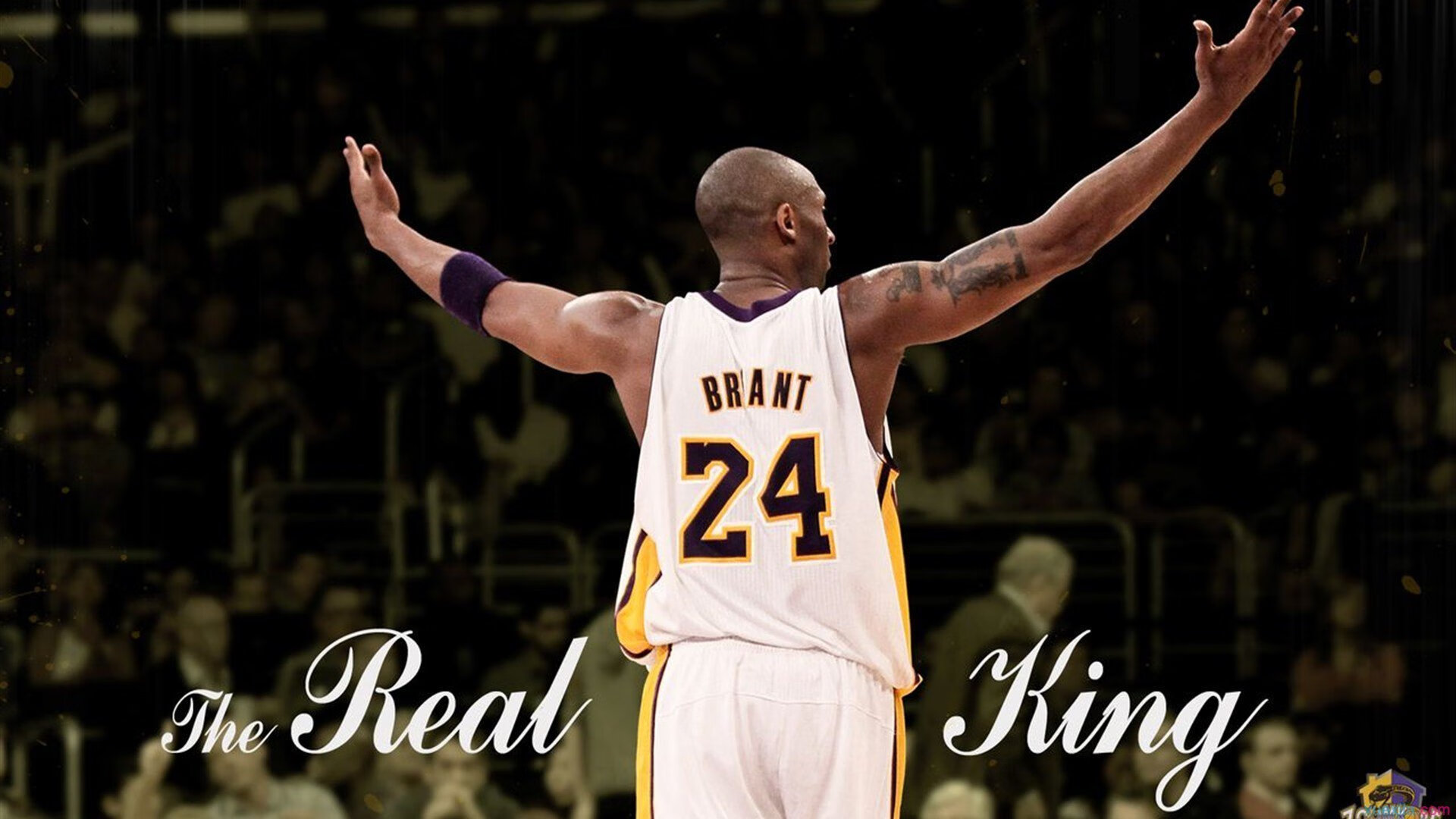 约基奇，当完美成为习惯，开拓者用一波流焚毁热火